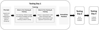 The effects of gesture and action training on the retention of math equivalence
